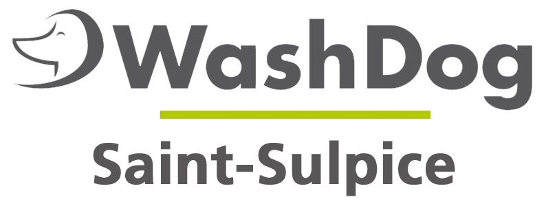 Logo gris WashDog Saint sulpice Wash Dog